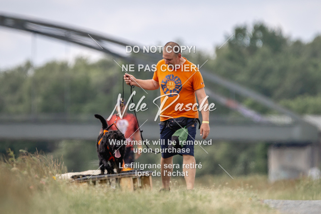 nelerasche_BuHu2026_SaCC1100-1200_39 | nelerasche