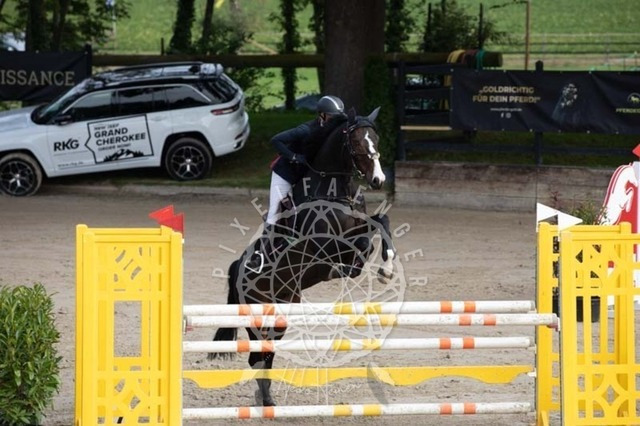 2B4A2134 | pixelfaenger - Realisiert mit Pictrs.com