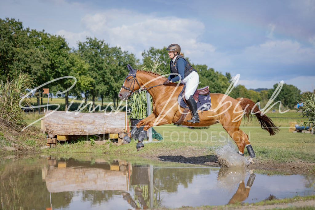 20250905-_3LI1193 | Tierfotografie Pferde, Hunde, Katzen, Haustiere.
Turnierfotografie Reitturniere, Reiten, Springreiten, Dressur in Hanau, dem Main-Kinzig-Kreis und dem Rhein-Main- Gebiet um Frankfurt