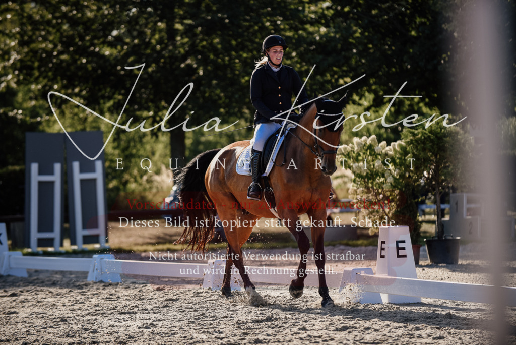 DSC_0692 | Pferde- und Turnierfotografie in Westsachsen. Pferdeportraits, Auftragszeichnungen und intuitive Kunst.