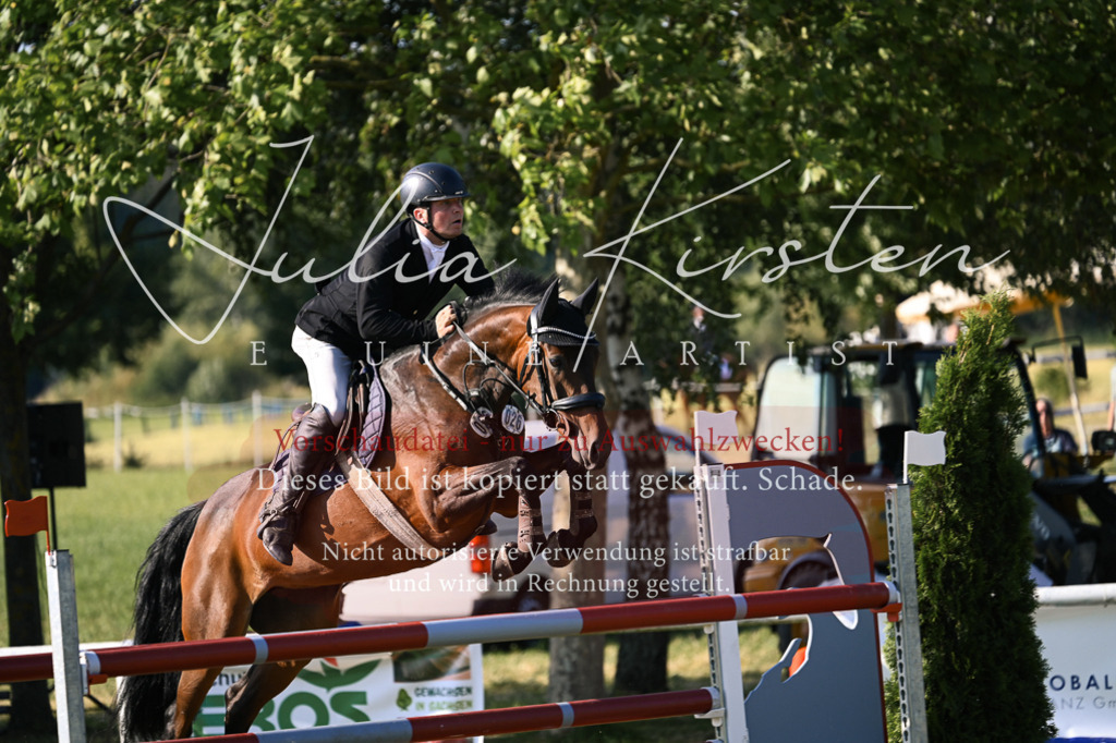 DSC_1581 | Pferde- und Turnierfotografie in Westsachsen. Pferdeportraits, Auftragszeichnungen und intuitive Kunst.