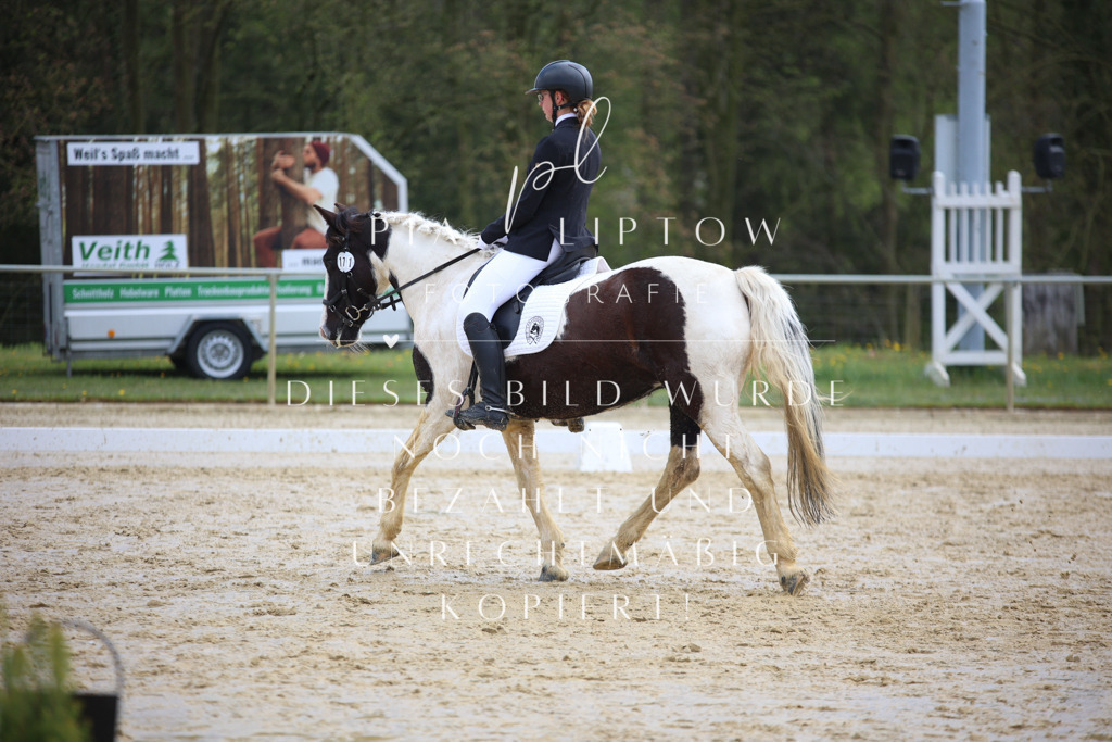 IMGT4084 | pl-fotografie