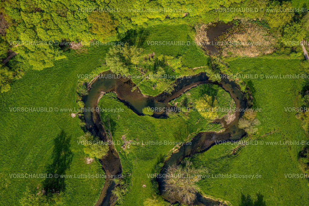 Wuerselen240403338Wurmtal | Luftbild Blossey Luftbilder NRW Deutschland