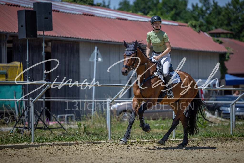 20260704-_3LI8534 | Tierfotografie Pferde, Hunde, Katzen, Haustiere.
Turnierfotografie Reitturniere, Reiten, Springreiten, Dressur in Hanau, dem Main-Kinzig-Kreis und dem Rhein-Main- Gebiet um Frankfurt