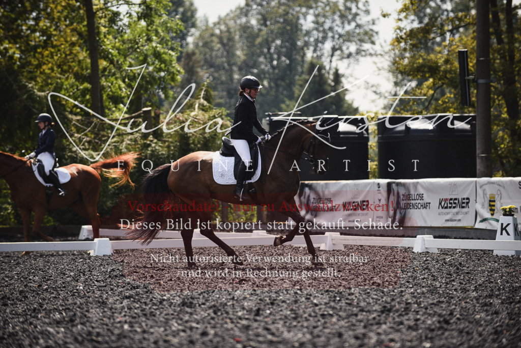 DSC_4091 | Pferde- und Turnierfotografie in Westsachsen. Pferdeportraits, Auftragszeichnungen und intuitive Kunst.