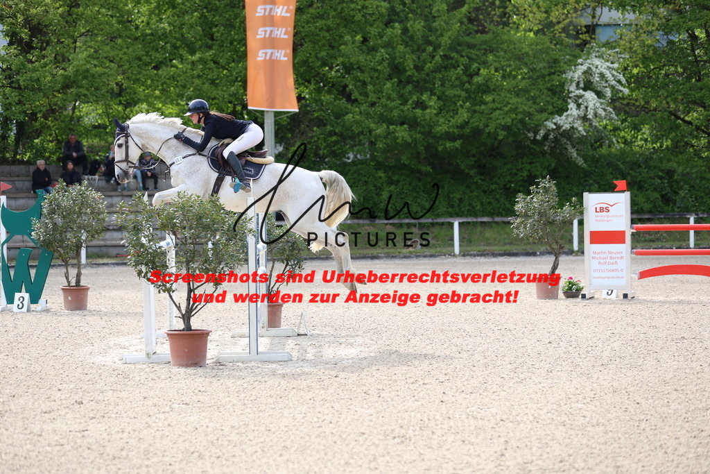 A40A5325 | lmwpictures - Realisiert mit Pictrs.com