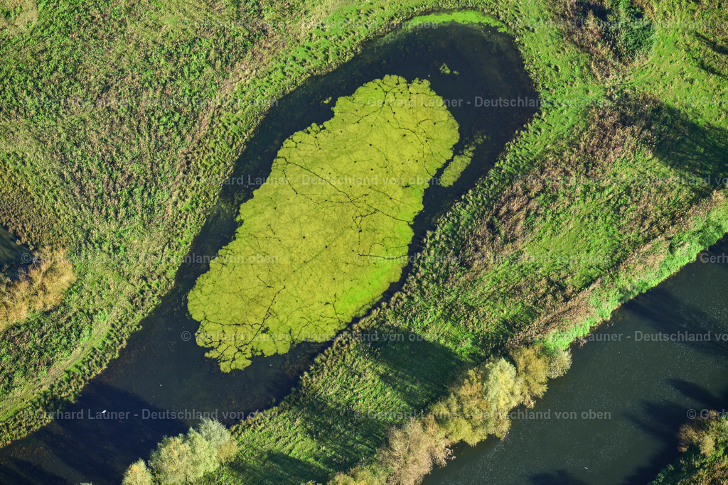 3491390 | Naturschutzgebiet Lippeaue bei Lünen