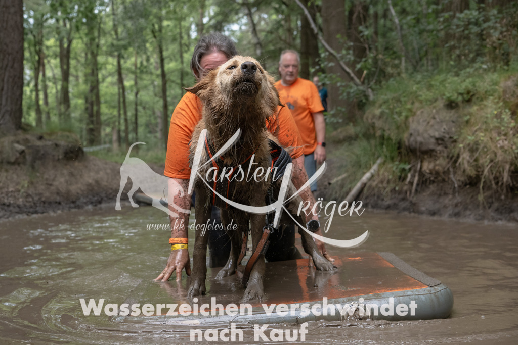 1345_ZZ95724 | kk-dogfotos