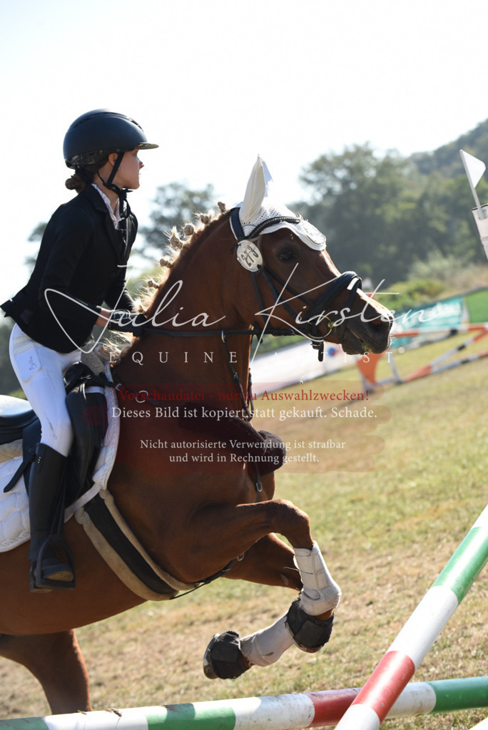 DSC_5830 | Pferde- und Turnierfotografie in Westsachsen. Pferdeportraits, Auftragszeichnungen und intuitive Kunst.