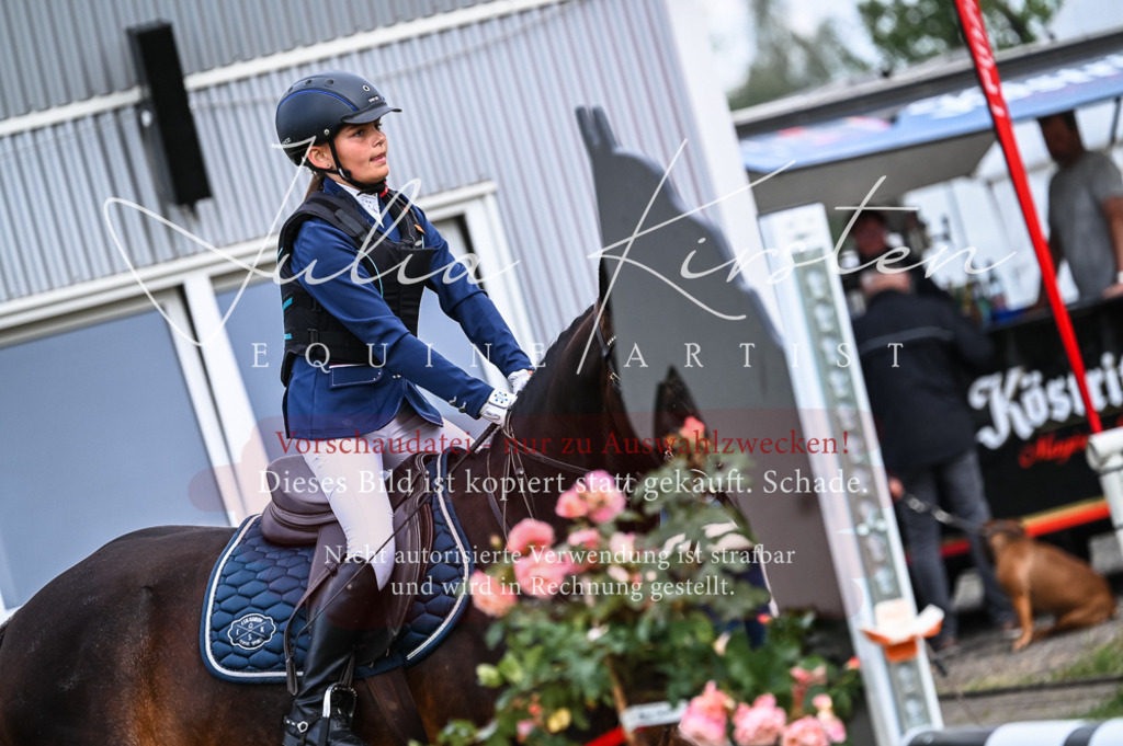 DSC_8240 | Pferde- und Turnierfotografie in Westsachsen. Pferdeportraits, Auftragszeichnungen und intuitive Kunst.