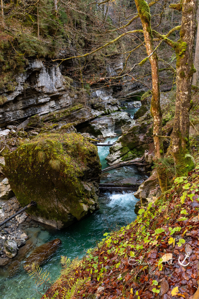 20241102-EAF_5501 | Eilun-Art-Fotografie Levke Martens, ihre Fotografin für Immobilien- und Landschaftsfotografie auf Föhr, Föhrer Motive als Poster, Leinwand, hinter Acrylglas oder stelle dir deinen eigenen Monatskalender zusammen, mit nur einem Klick