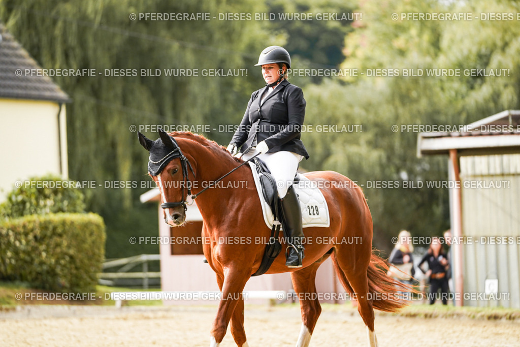 DSC01291 | Pferdegrafie