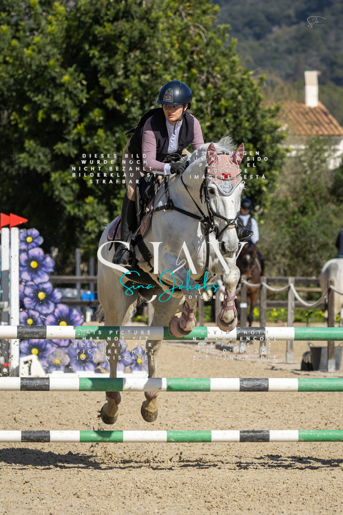 IMG_6545 | s-jay-photography - Realisiert mit Pictrs.com