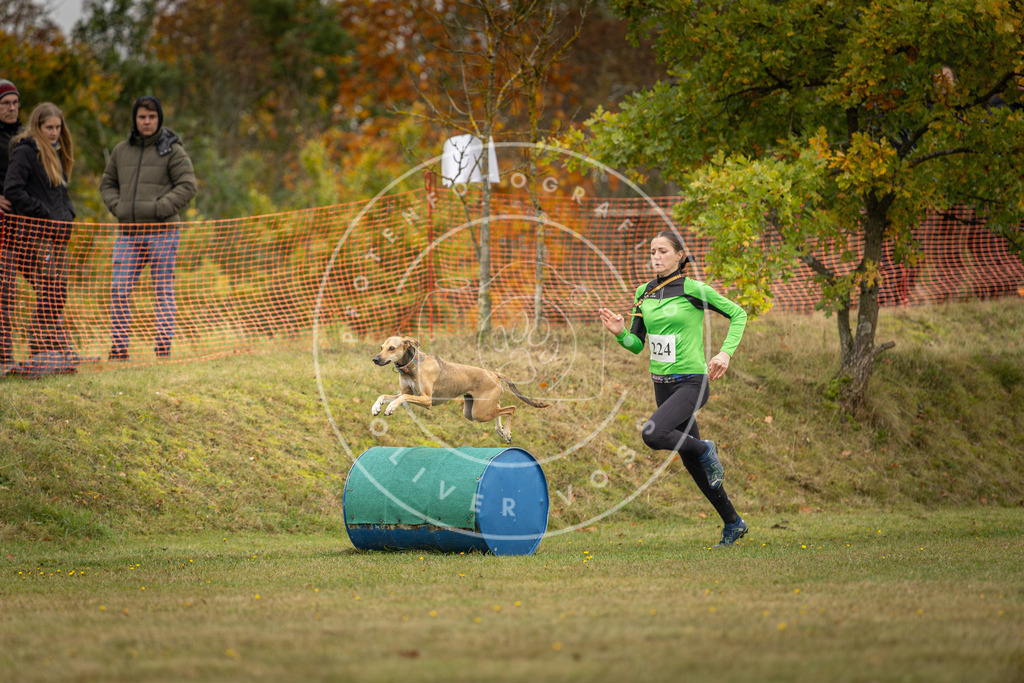 Pfotenfotografie_DV3A4573 | Hundefotografie, Tierfotograf, Pfotenfotografie, Fotoshooting Hund, Hunde Portrait, Hundesport, Hundeportraits, Heideshooting, Hunde, Sportfotograf, Hundefotograf, Turnierhundsport, THS,  - Realisiert mit Pictrs.com