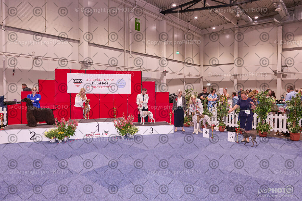 202406_ÖKV-IHA-Tulln24_NZ9_9579 | proPHOTO - Realisiert mit Pictrs.com