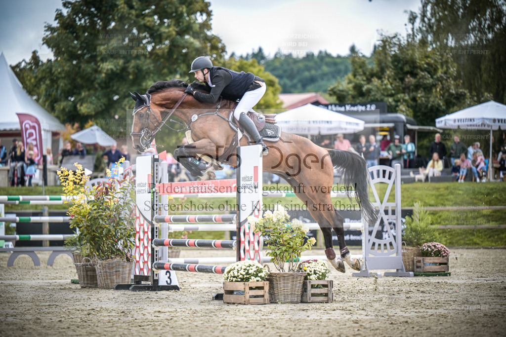 DOS_0948 | Entdecke hochwertige Reitturnierfotos von Foto Oger. Professionell, emotional und authentisch – jetzt Lieblingsmomente im Shop bestellen. - Realisiert mit Pictrs.com