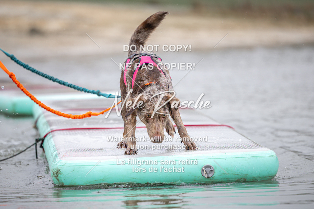 nelerasche_Hulsbeek_Sa1030-1100_61 | nelerasche