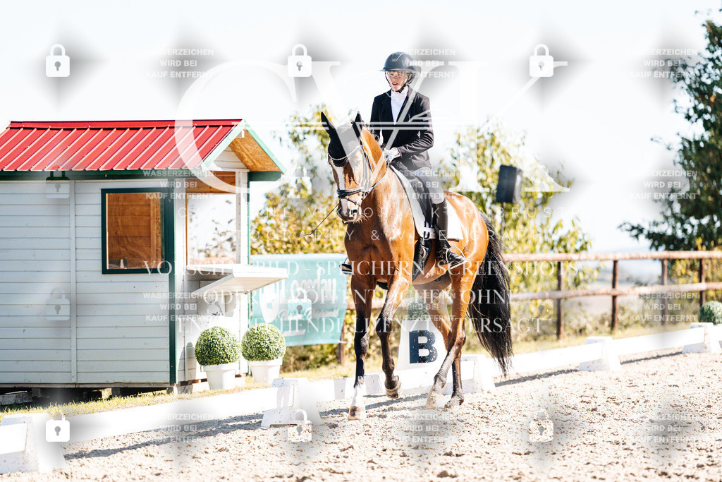 CK908641 | Turnierfotografie Pferdefotografie Trier Rheinland-Pfalz Pferdesport Reitsport Tierfotografie Sportfotografie Pferdevideo Pferdevideografie Equestrianvideography equestrianphotography  - Realisiert mit Pictrs.com
