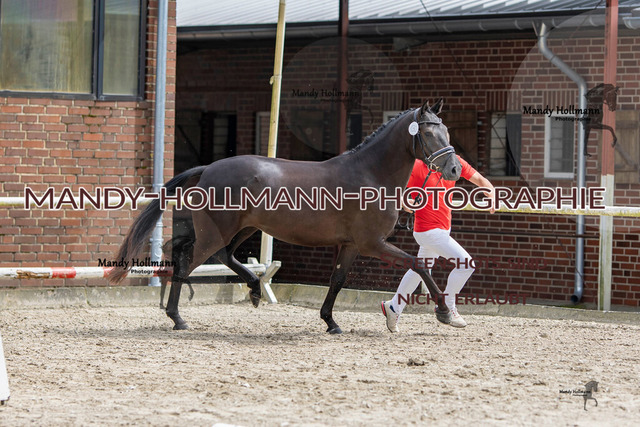 0P2A0975 | mandyhollmannphotographie
