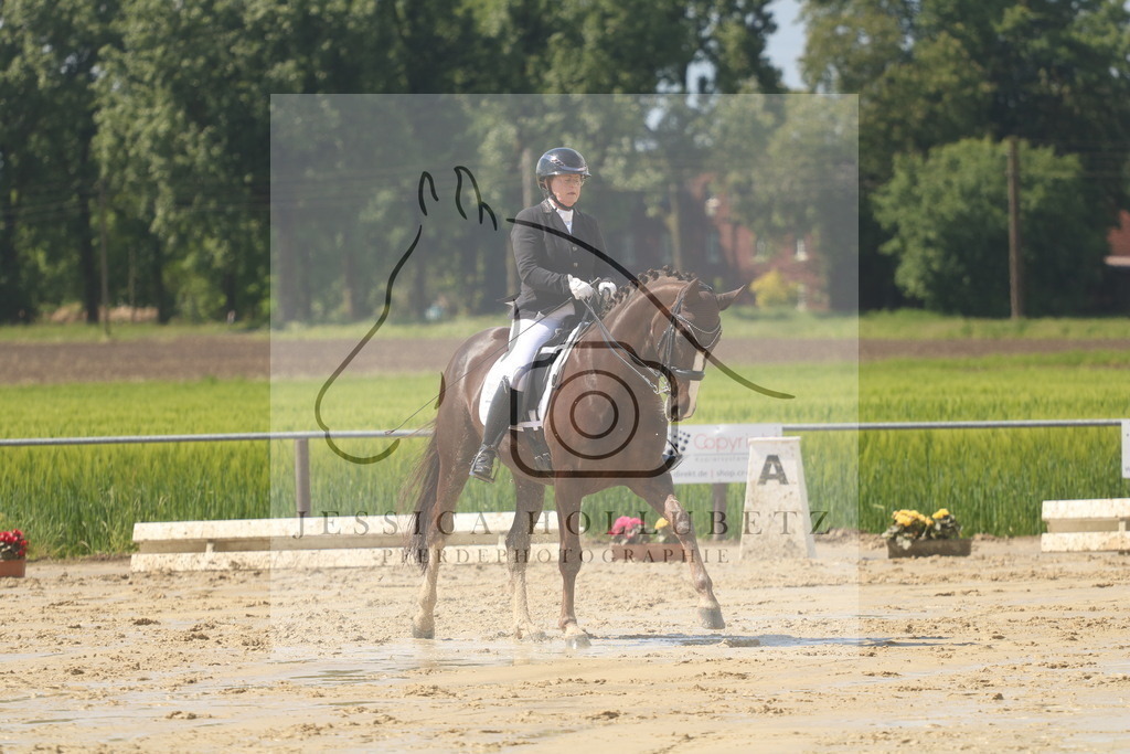 IMG_9223 | jessicahollubetz_pferdephotographie - Realisiert mit Pictrs.com