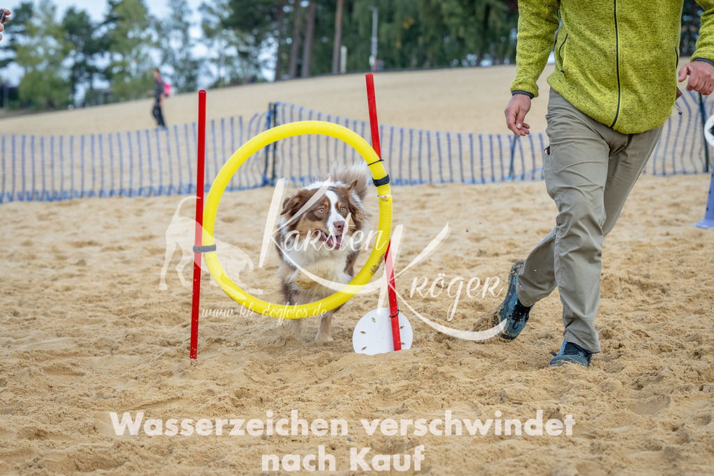 0924_ZZ92367 | kk-dogfotos