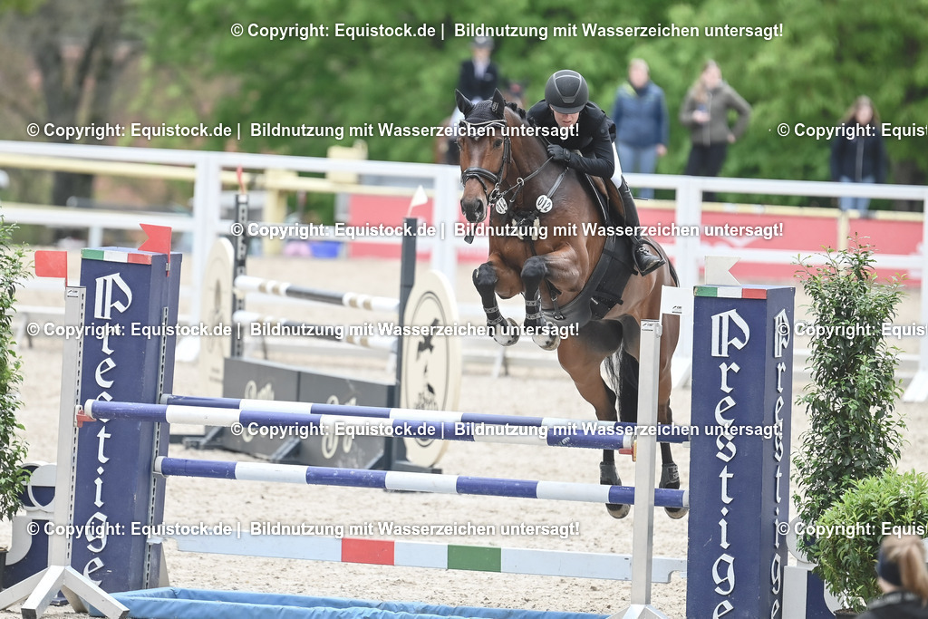 20230514_CCI2_Section1_Springen_0105 | equistock