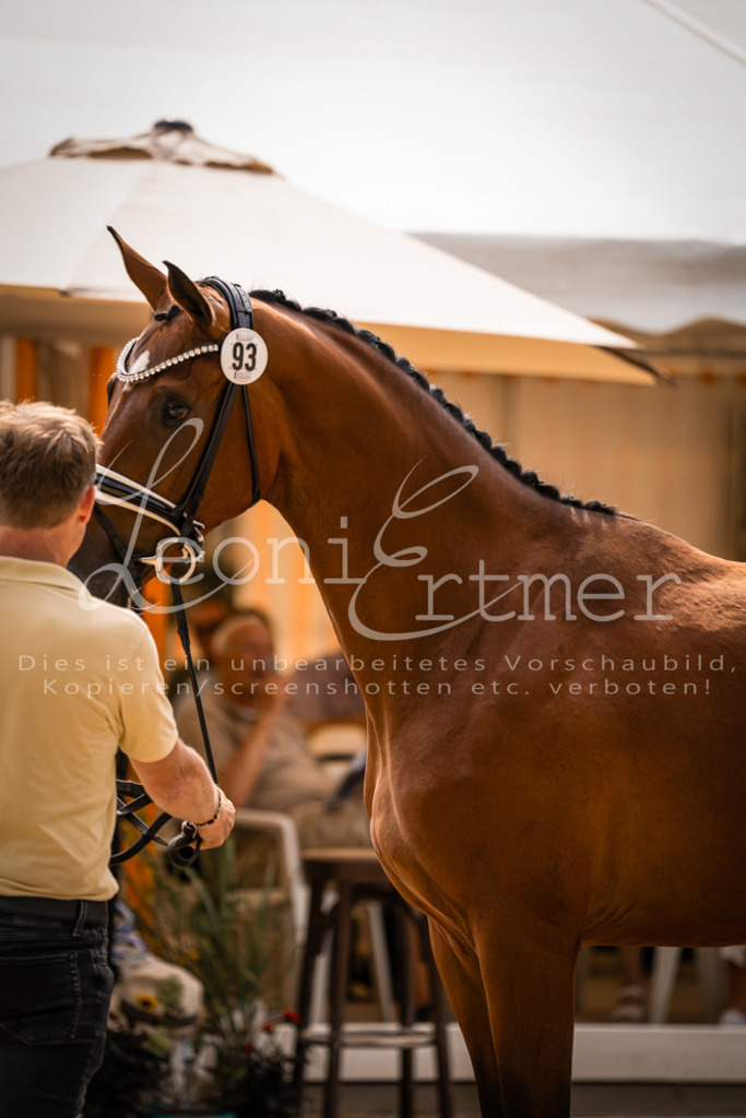 6.Fr00114 | Leoni Ertmer Photography - Realisiert mit Pictrs.com