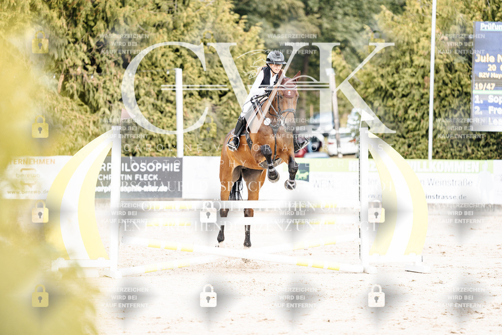 CK902387 | Turnierfotografie Pferdefotografie Trier Rheinland-Pfalz Pferdesport Reitsport Tierfotografie Sportfotografie Pferdevideo Pferdevideografie Equestrianvideography equestrianphotography  - Realisiert mit Pictrs.com