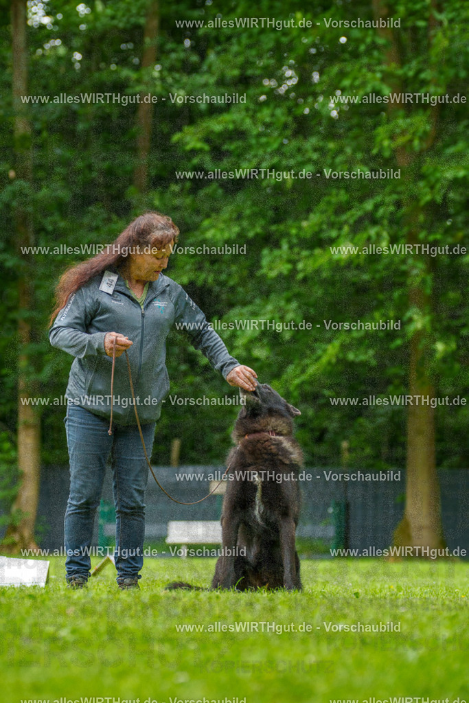 @allesWIRTHgut_Tierfotografie - www.allesWIRTHgut.de - 135518-7R500189 | Professionelle Tierfotografie in Mönchengladbach von Daniel Wirth (allesWIRTHgut). Liebevolle & natürliche Bilder von Hunden & Katzen für unvergessliche Erinnerungen.