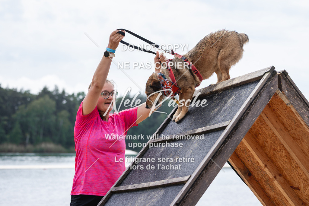 nelerasche_BuHu2026_So1530-Ende_23 | nelerasche