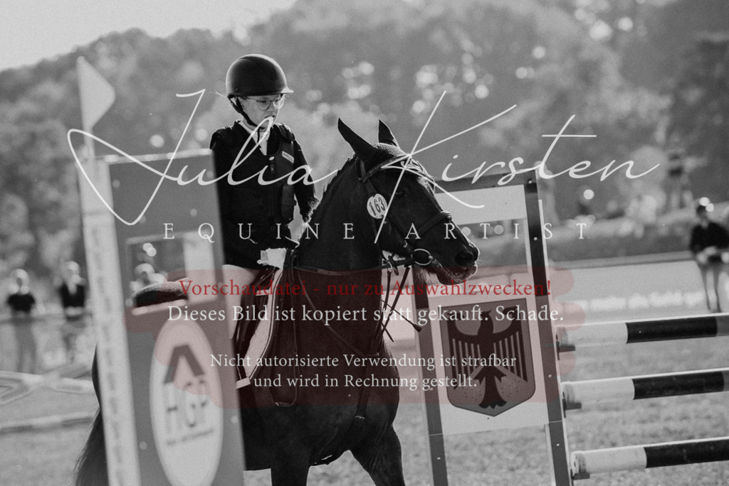 DSC_5554 | Pferde- und Turnierfotografie in Westsachsen. Pferdeportraits, Auftragszeichnungen und intuitive Kunst.