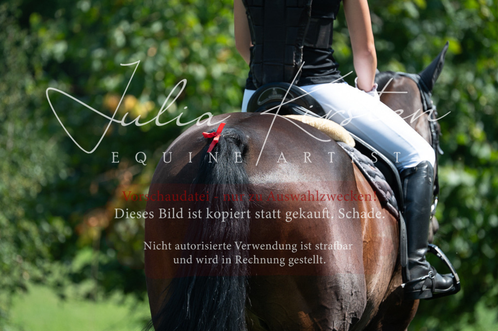 DSC_0593 | Pferde- und Turnierfotografie in Westsachsen. Pferdeportraits, Auftragszeichnungen und intuitive Kunst.