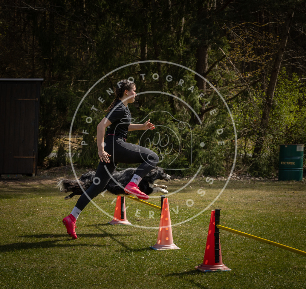 Pfotenfotografie_DV3A4042 | Hundefotografie, Tierfotograf, Pfotenfotografie, Fotoshooting Hund, Hunde Portrait, Hundesport, Hundeportraits, Heideshooting, Hunde, Sportfotograf, Hundefotograf, Turnierhundsport, THS,  - Realisiert mit Pictrs.com