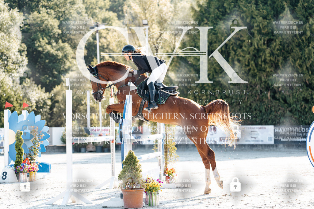 CK901553 | Turnierfotografie Pferdefotografie Trier Rheinland-Pfalz Pferdesport Reitsport Tierfotografie Sportfotografie Pferdevideo Pferdevideografie Equestrianvideography equestrianphotography  - Realisiert mit Pictrs.com