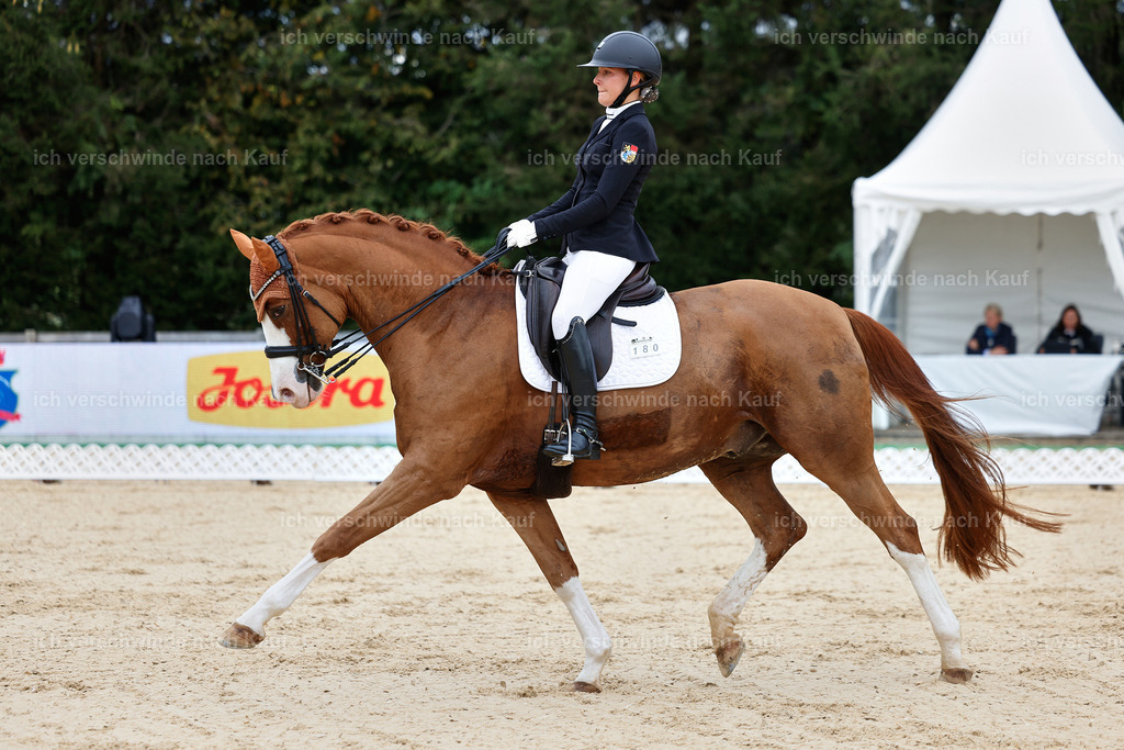 04_1-180-Dressur M__ -StoibPH-StoibPH-2636 | working equitationturnier fotograf videograf stoibphotography marixx film working equitation deutschland reitsport turnierfotografie eventfotografie equestrian events