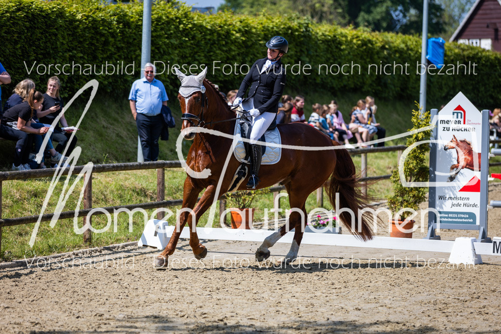 Donop24-L-Dre-081 | MomenTaufnahmen Pferdesportfotos