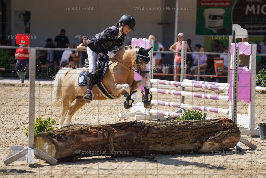 20240824-FAH08065 | Thierhaupten 2024, Bayerisches Landesponyturnier, Turnierbilder, Ponybilder, Turnierfotografen Bayern, Fotoagentur Herrmann