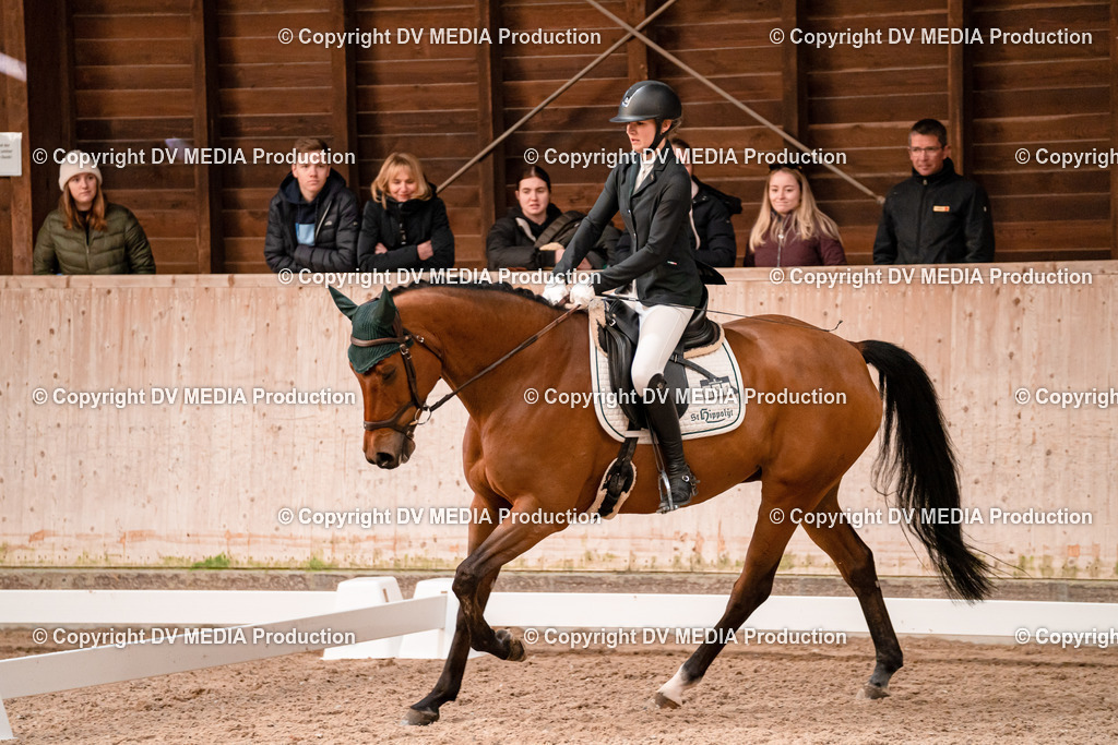 Dressur Tag 2-145 | dv-media-shop - Realisiert mit Pictrs.com