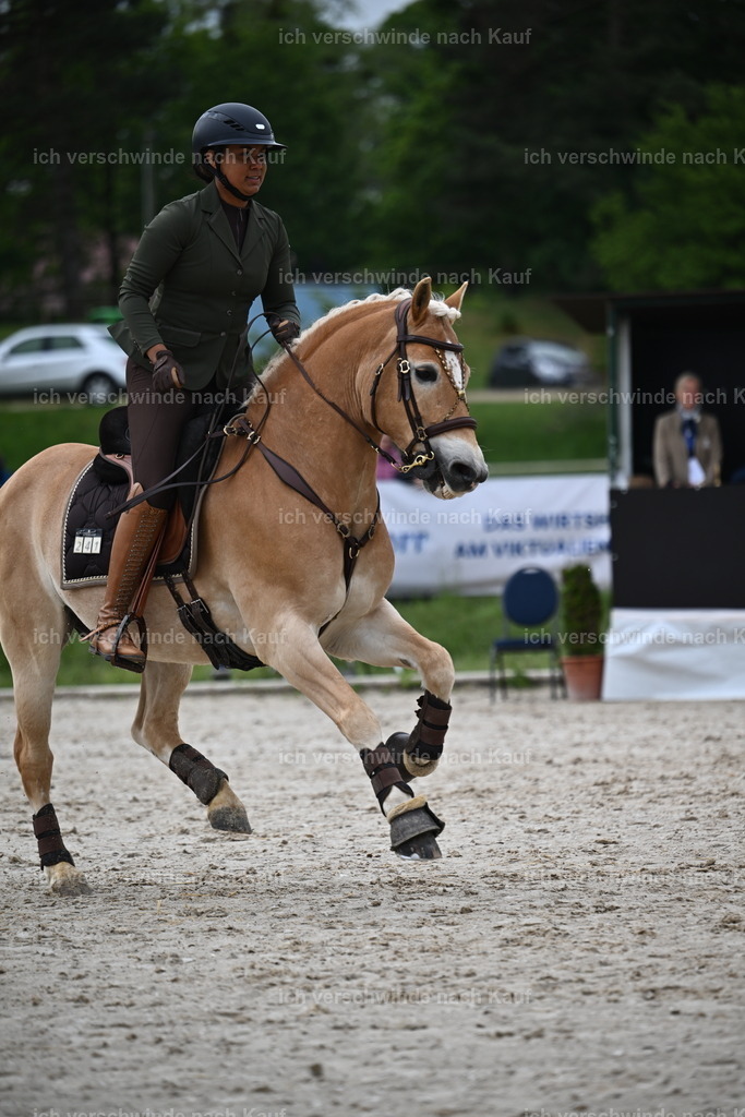 PI26_SP_Sara_Landvogt_226_4680.JPG | working equitationturnier fotograf videograf stoibphotography marixx film working equitation deutschland reitsport turnierfotografie eventfotografie equestrian events