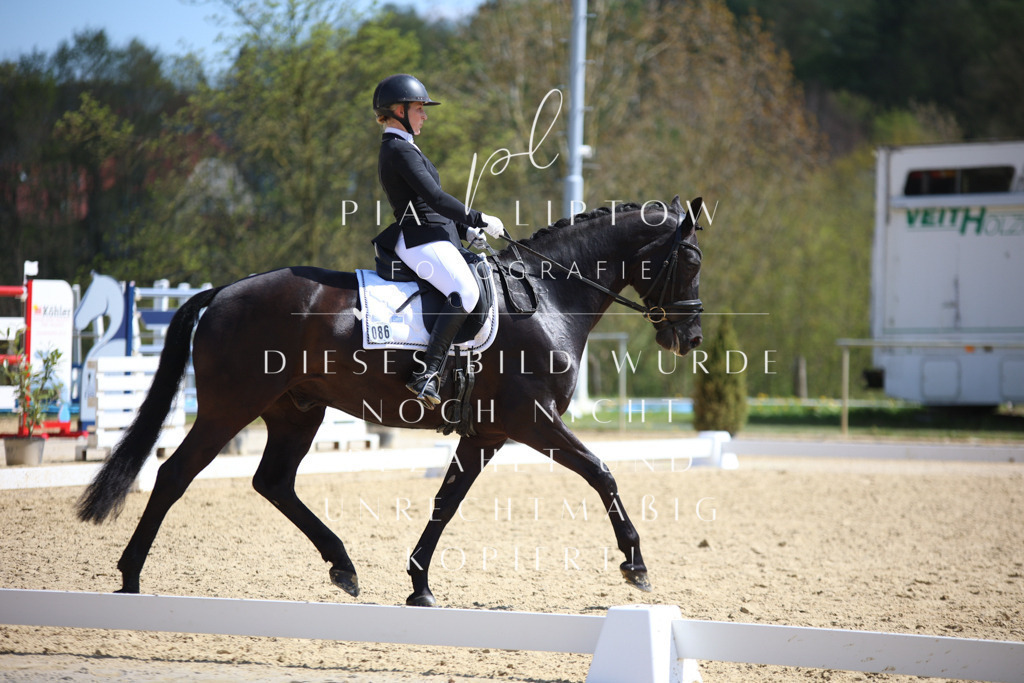 IMGT7115 | pl-fotografie