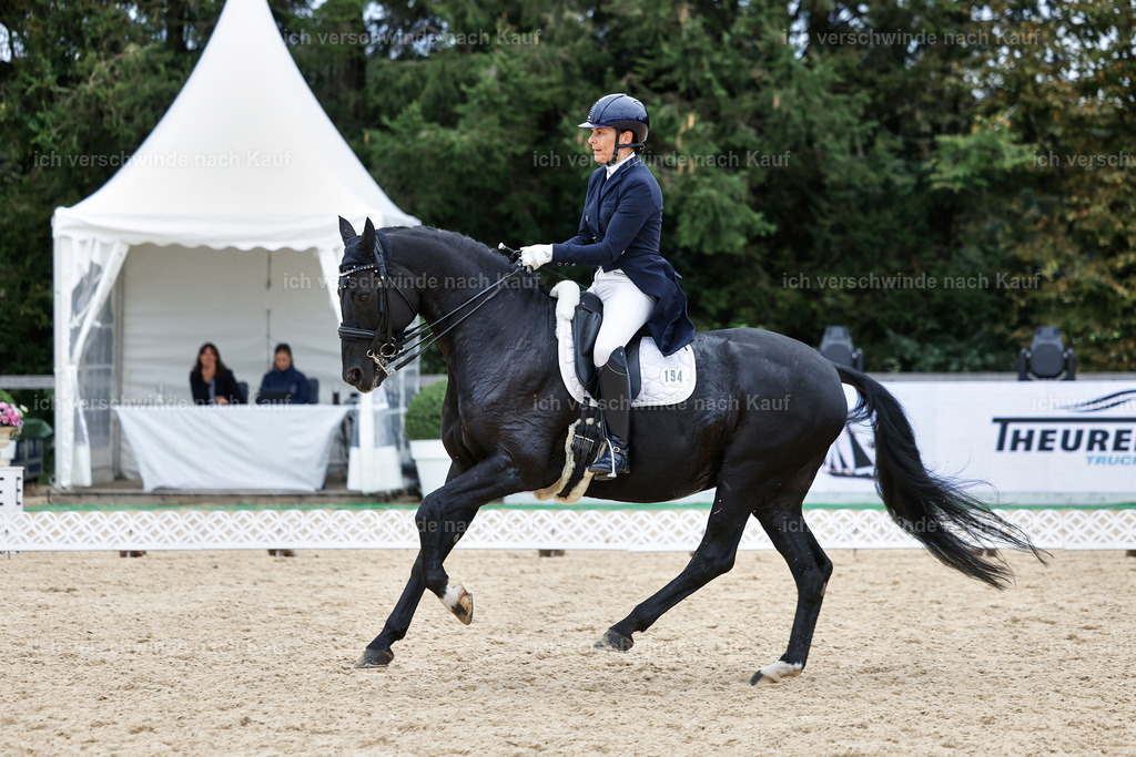 11-194-Dressur S___-StoibPH-1461 | working equitationturnier fotograf videograf stoibphotography marixx film working equitation deutschland reitsport turnierfotografie eventfotografie equestrian events