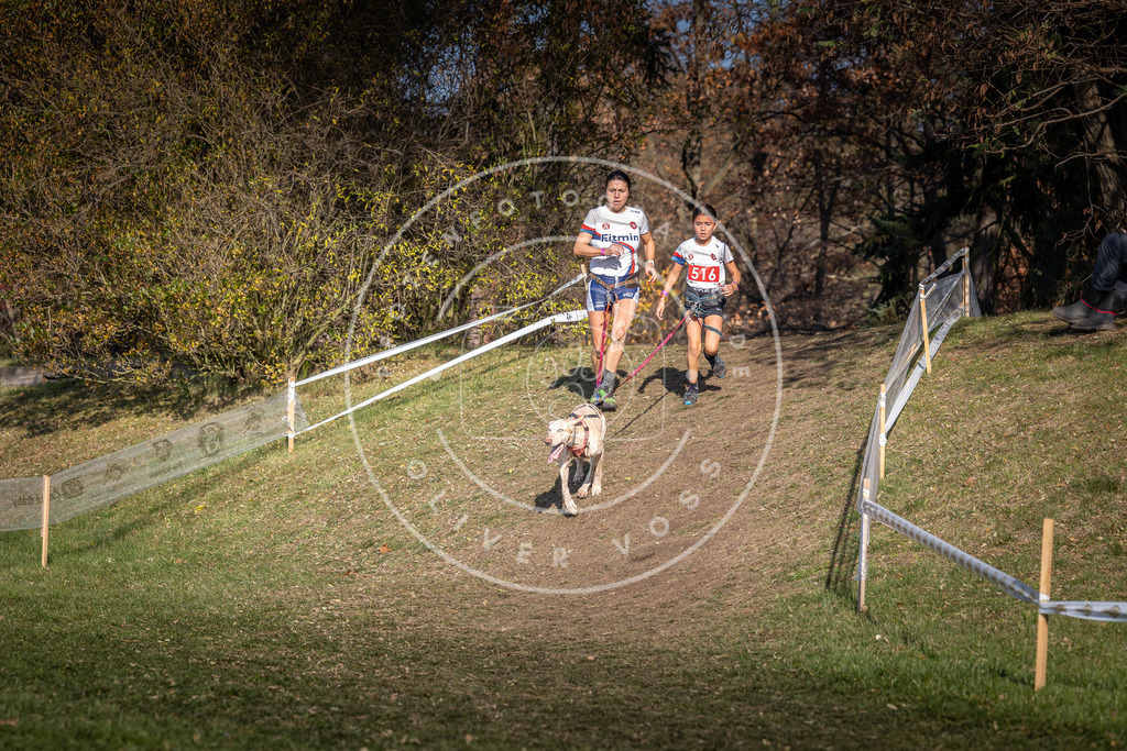 CaniXpix_0L8A8563 | Hundefotografie, Tierfotograf, Pfotenfotografie, Fotoshooting Hund, Hunde Portrait, Hundesport, Hundeportraits, Heideshooting, Hunde, Sportfotograf, Hundefotograf, Turnierhundsport, THS,  - Realisiert mit Pictrs.com
