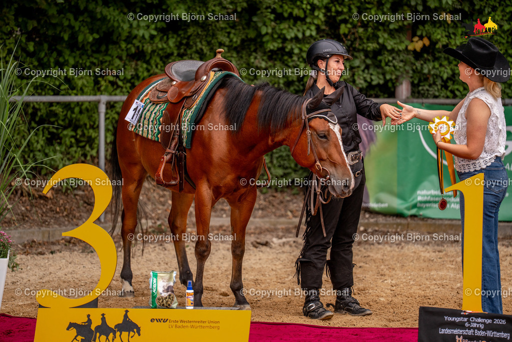 LMS06343 | BS-foto