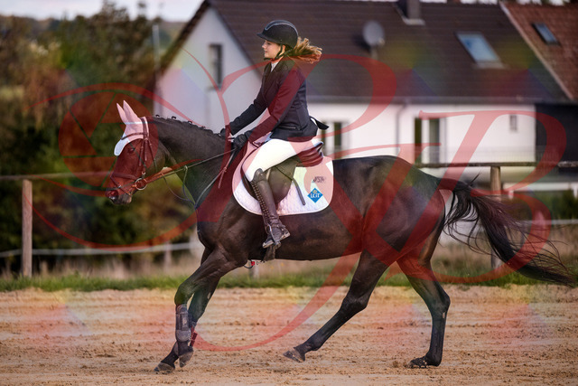 2026_10_03_Siefer-Hof_145929_Z81_41846261 | Professionelle Reitsport-, Turnier- und Eventfotografie von Robert Broda. Galerien mit ausgewählten und bearbeiteten Bildern direkt online ansehen und bestellen.