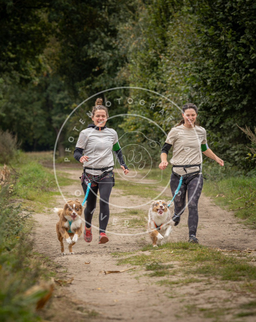Pfotenfotografie_DV3A8494 | Hundefotografie, Tierfotograf, Pfotenfotografie, Fotoshooting Hund, Hunde Portrait, Hundesport, Hundeportraits, Heideshooting, Hunde, Sportfotograf, Hundefotograf, Turnierhundsport, THS,  - Realisiert mit Pictrs.com