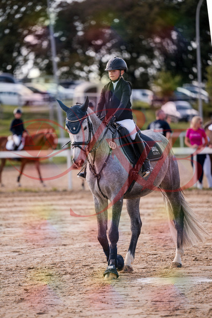 2026_10_03_Siefer-Hof_144949_Z81_27954872 | Professionelle Reitsport-, Turnier- und Eventfotografie von Robert Broda. Galerien mit ausgewählten und bearbeiteten Bildern direkt online ansehen und bestellen.
