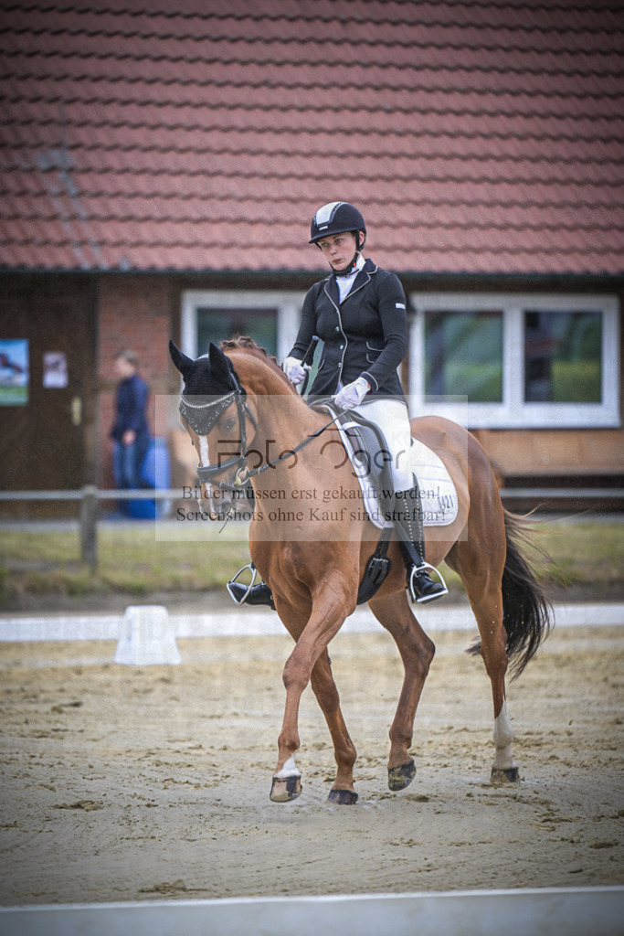 DOS_1722 | Entdecke hochwertige Reitturnierfotos von Foto Oger. Professionell, emotional und authentisch – jetzt Lieblingsmomente im Shop bestellen.Deutschlandweite Turnierfotografie. - Realisiert mit Pictrs.com