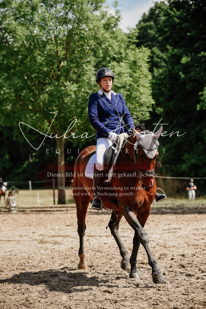 DSC_1222 | Pferde- und Turnierfotografie in Westsachsen. Pferdeportraits, Auftragszeichnungen und intuitive Kunst.