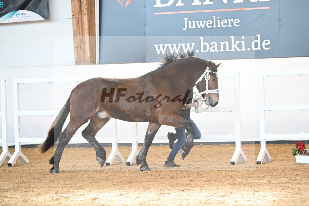 Kat-Nr. 12 v. Nussini II_Birkholz_2230110 | hf-fotografie - Realizzato con Pictrs.com