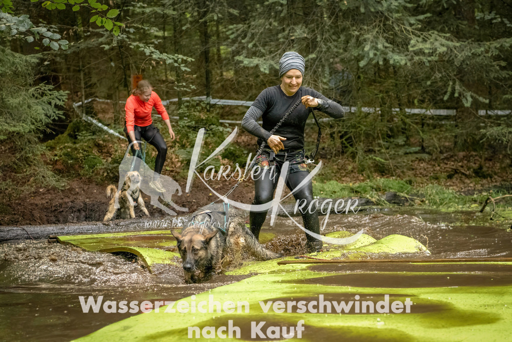 1412_ZZ91516-Bearbeitet | kk-dogfotos